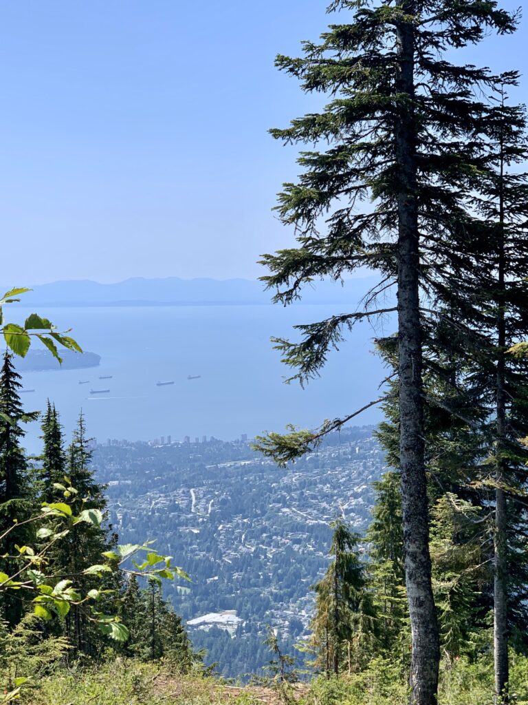 Views of Vancouver from Grouse Mountain