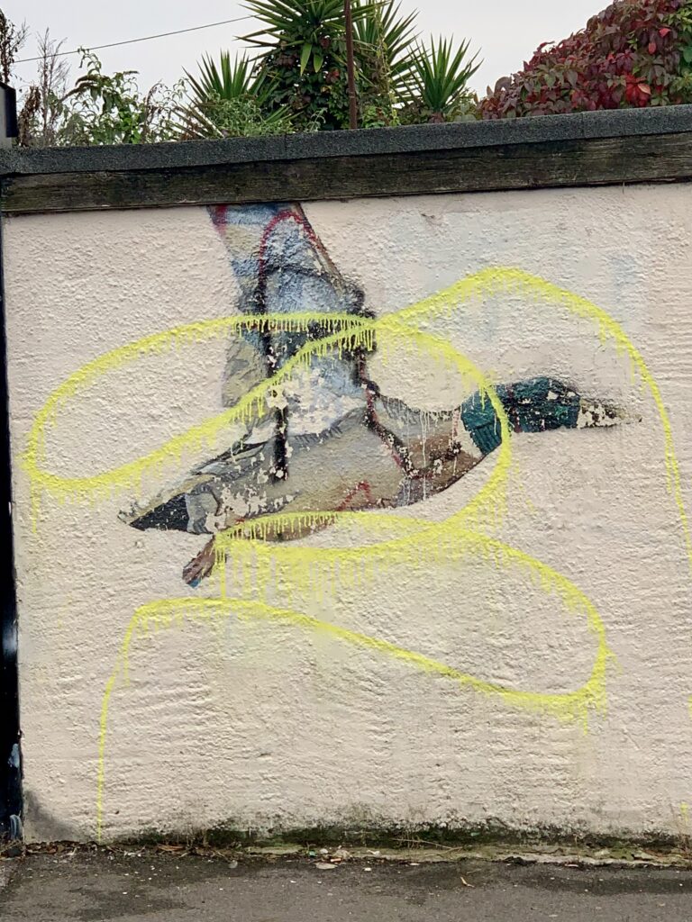 Mallard by Colour Doomed and HB (Helen Bur)