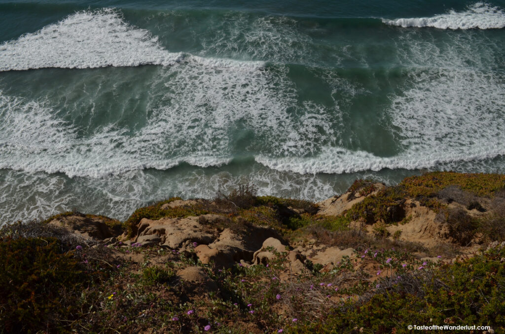 Torrey Pines State National Park San Diego California