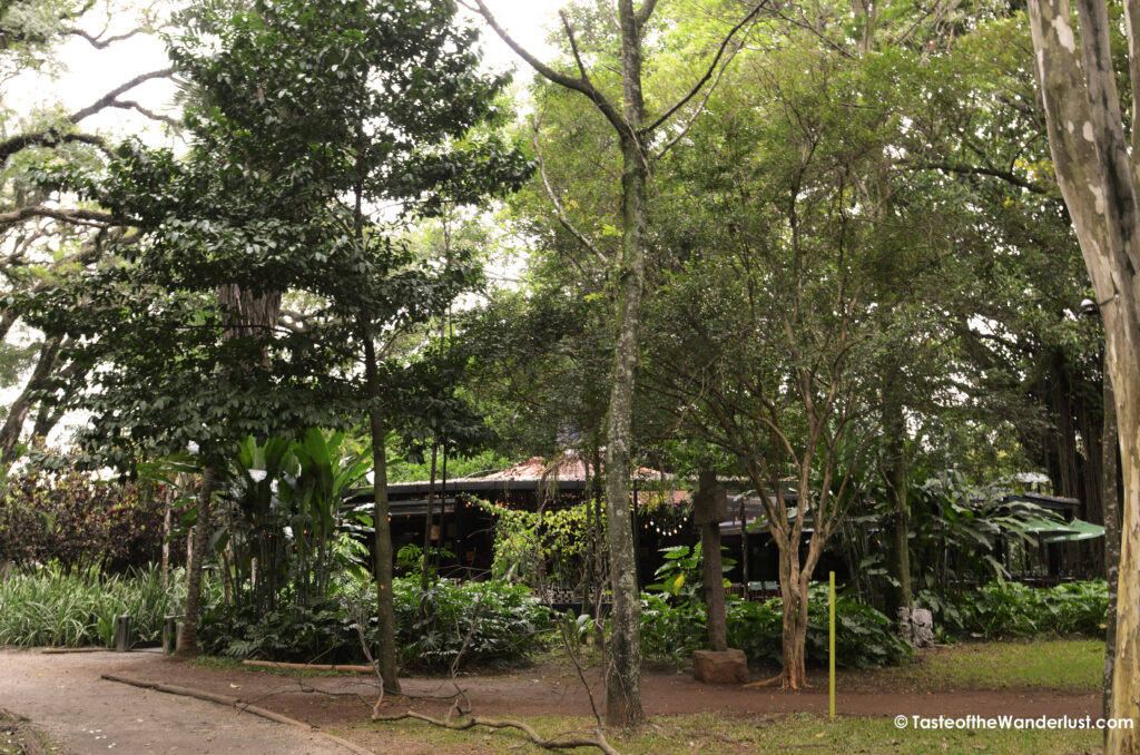 Parque Ibirapuera Sao Paulo Brazil