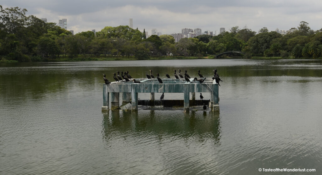 Parque Ibirapuera Sao Paulo Brazil