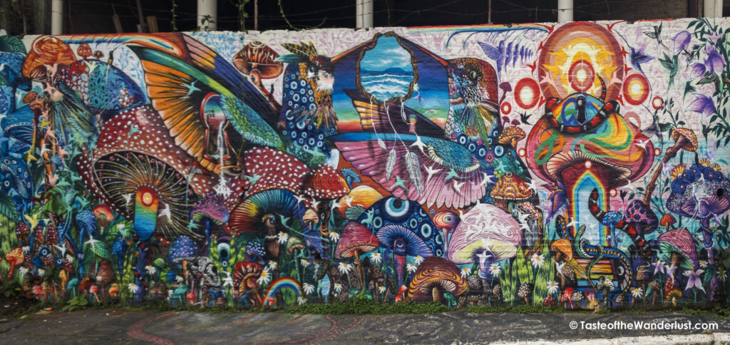 Street Art at Beco do Batman, Sao Paulo Brazil