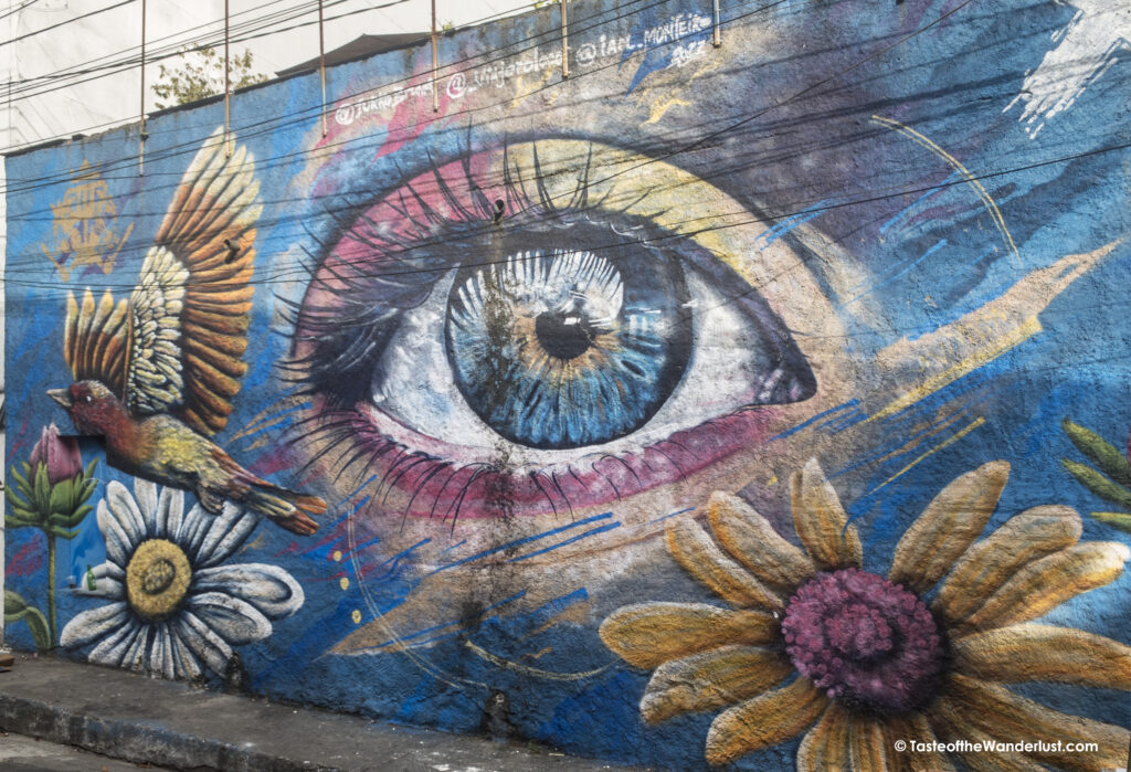 Street Art in Itaim Bibi, Sao Paulo, Brazil