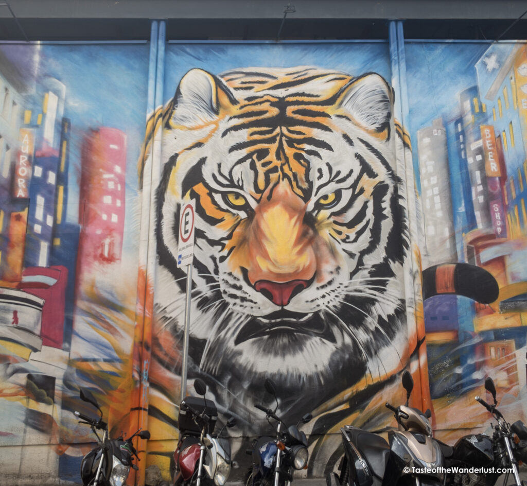 Street Art in Itaim Bibi, Sao Paulo, Brazil