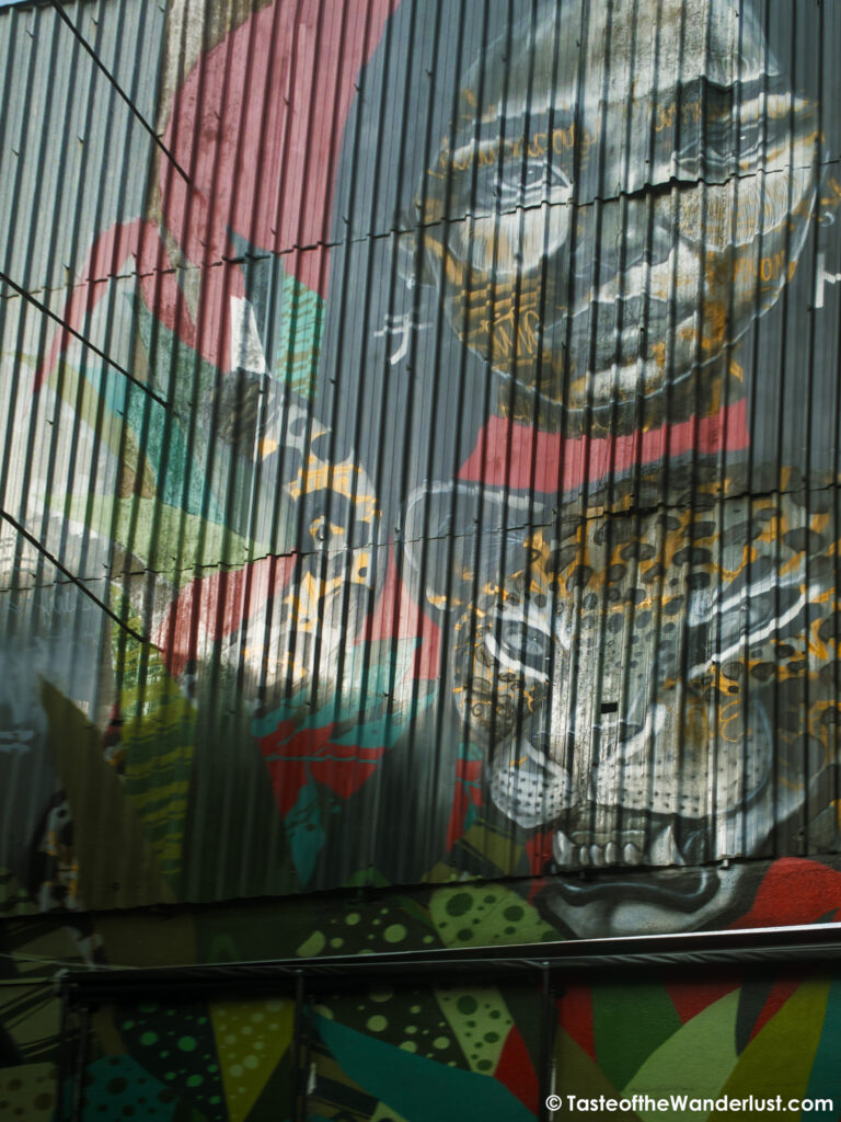 Street Art in Itaim Bibi, Sao Paulo, Brazil