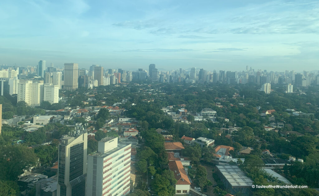 View Across Sao Paulo