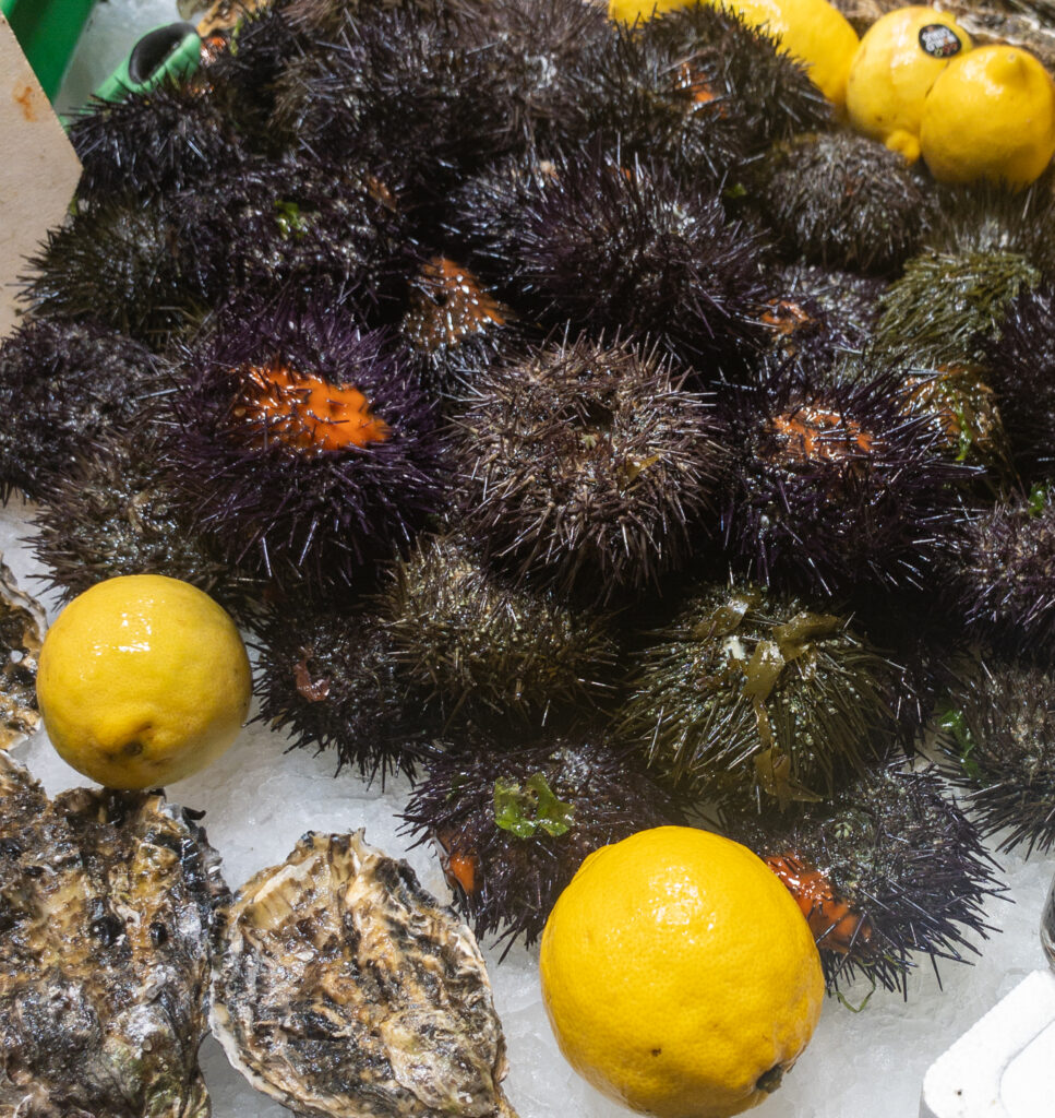 Seafood Mercat de la Boqueria Barcelona Spain