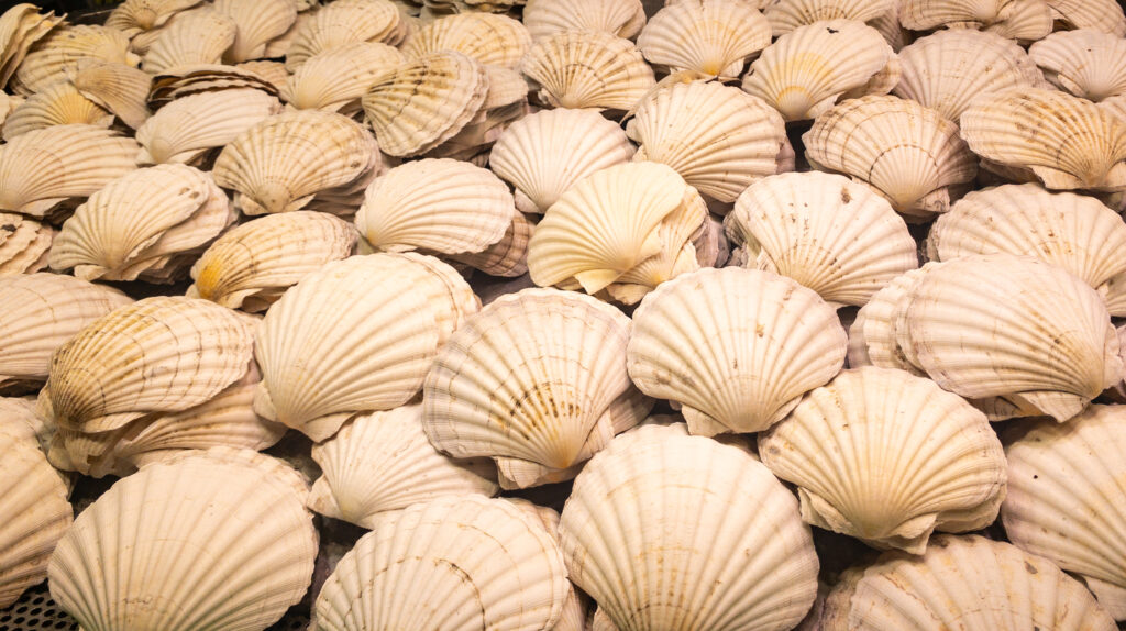 Shellfish Mercat de la Boqueria Barcelona Spain