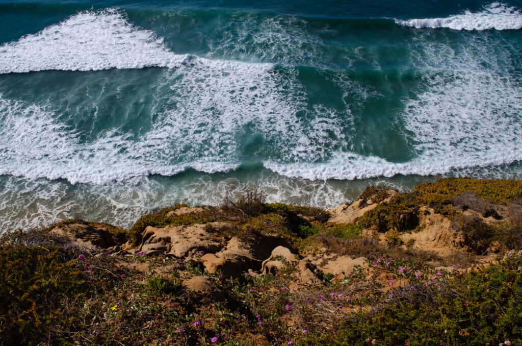 Torrey Pines State Natural Reserve, San Diego California