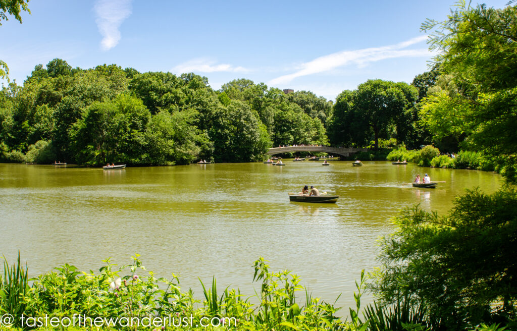 Central Park New York