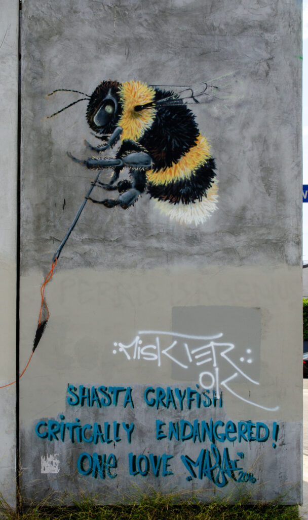 Bee by Louis Marais, Venice