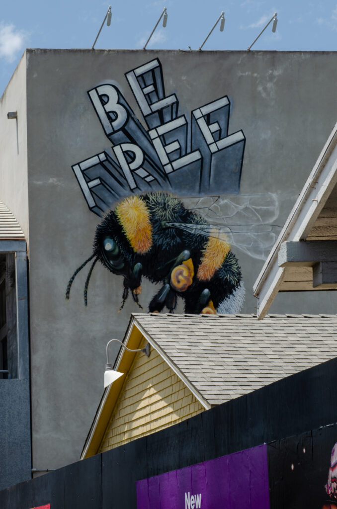 Bee Street Art, Venice