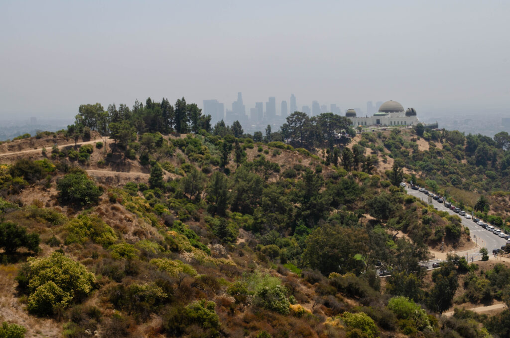 Griffiths Observatory from the Hollywood Hills Los Angeles