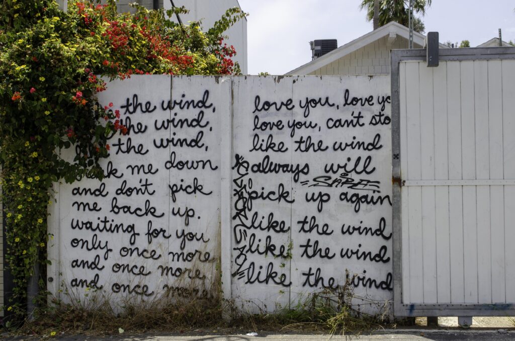 Like The Wind Street Art - Artist Unknown, Venice