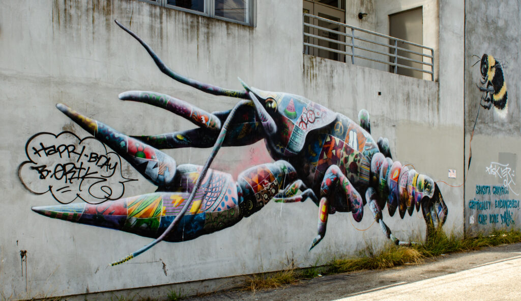 Shasta Crayfish by Louis Masai, Venice