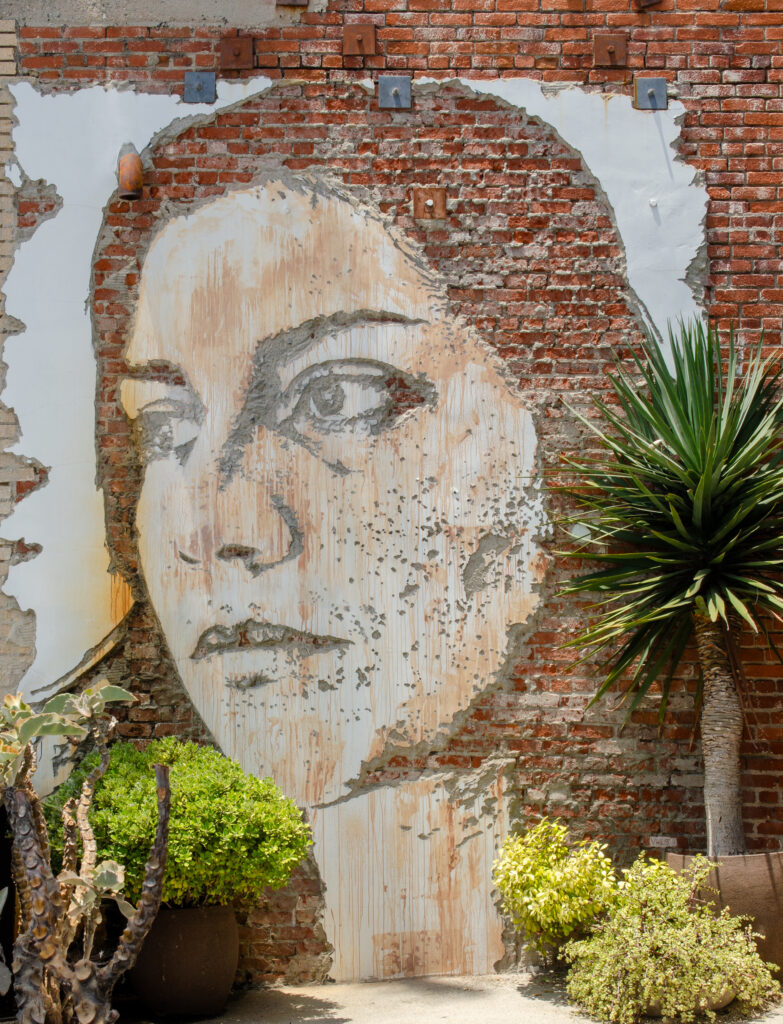 Urban Art by Vhils, Venice