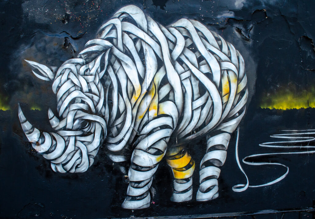 Rhino Street Art by Osch, Camden Town