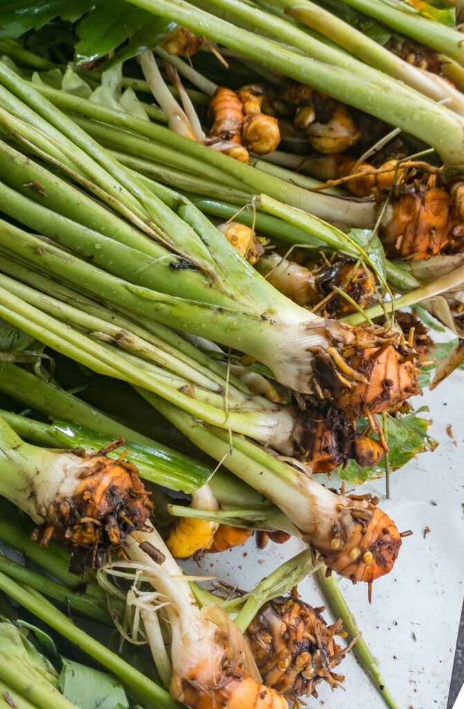 Little India Market, Singapore
