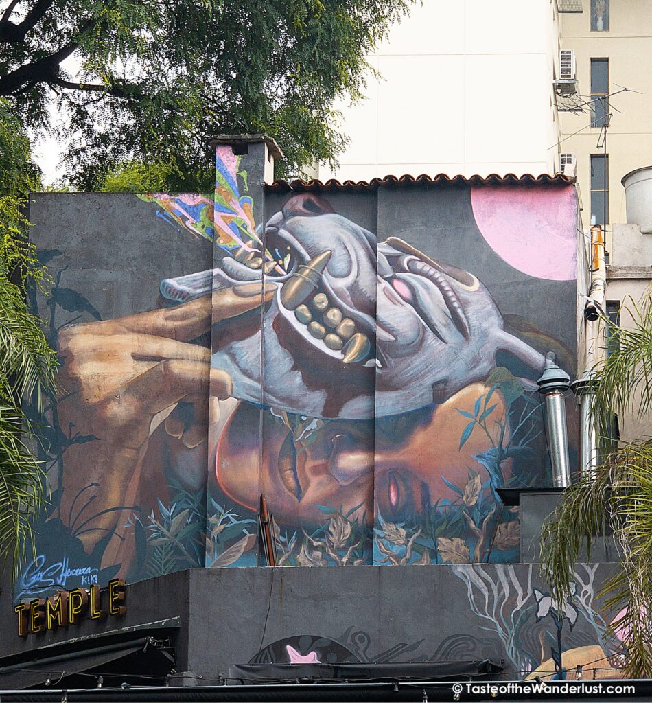 Street art Buenos Aires, Argentina, South America